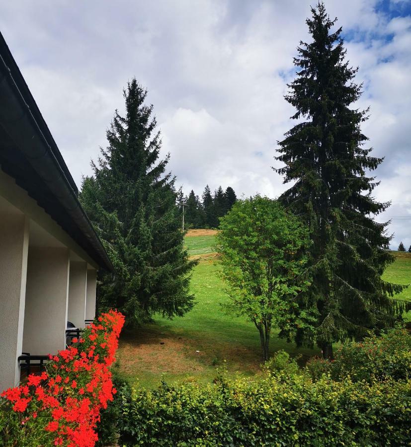 Schwarzwaldgasthof Hotel Hirschen Ibach Екстер'єр фото